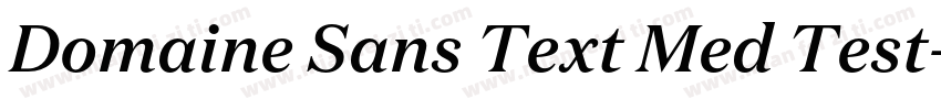 Domaine Sans Text Med Test字体转换